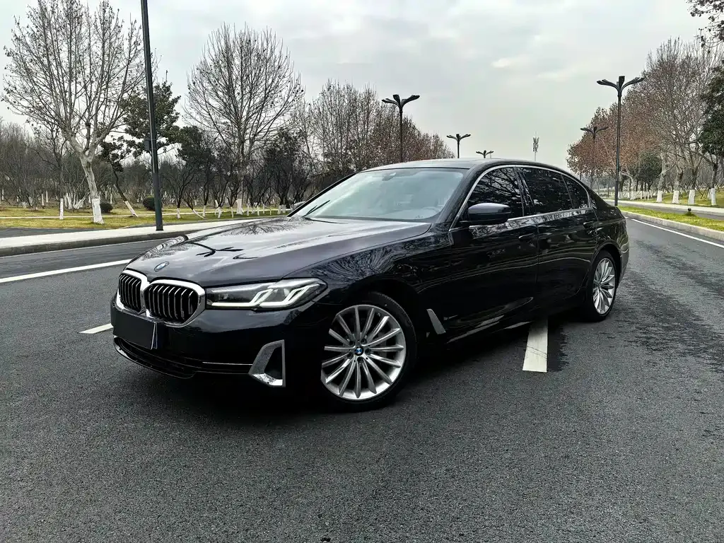 BMW 5 Series 2022 из CN, фото 1