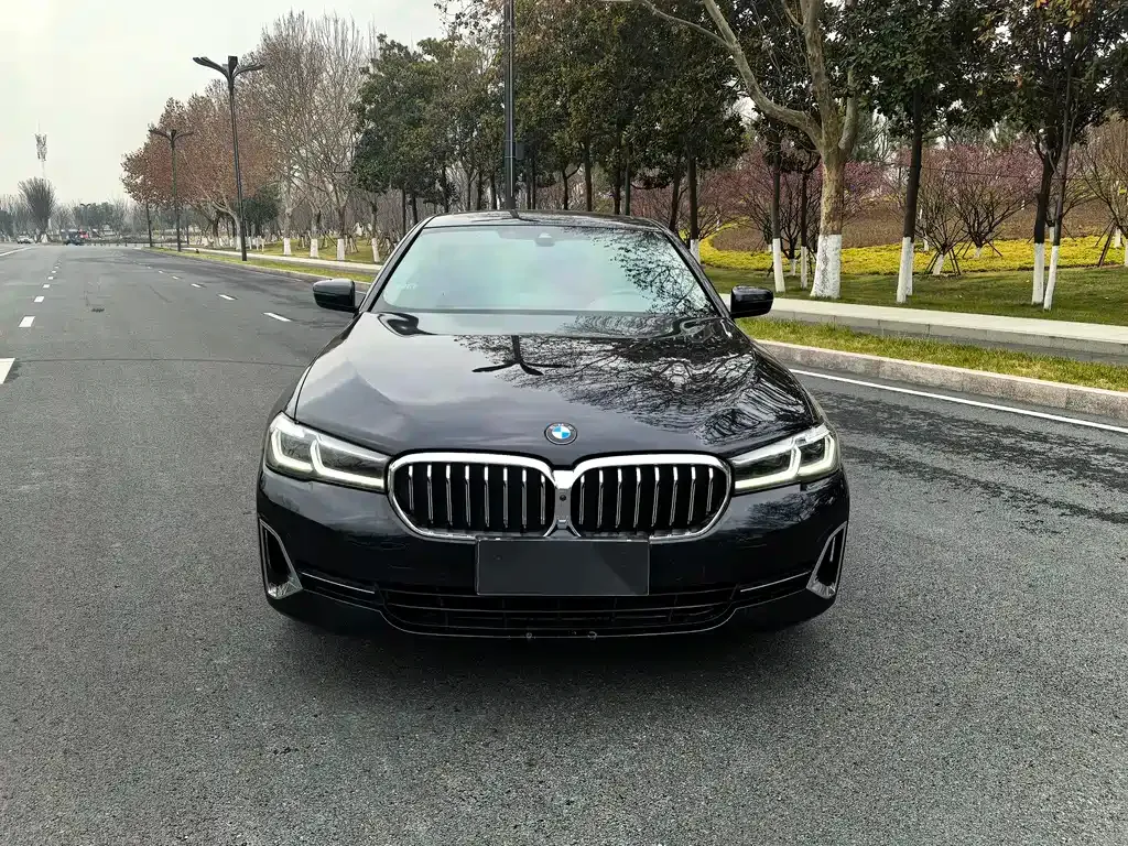 BMW 5 Series 2022 из CN, фото 9