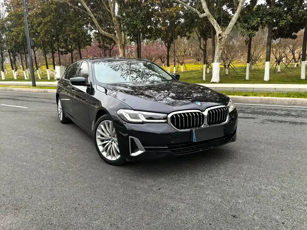 BMW 5 Series 2022 из CN, фото 6
