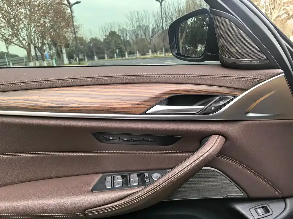BMW 5 Series 2022 из CN, фото 4