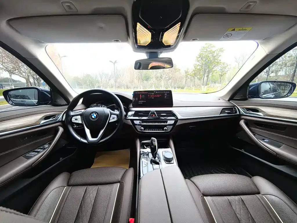BMW 5 Series 2022 из CN, фото 8