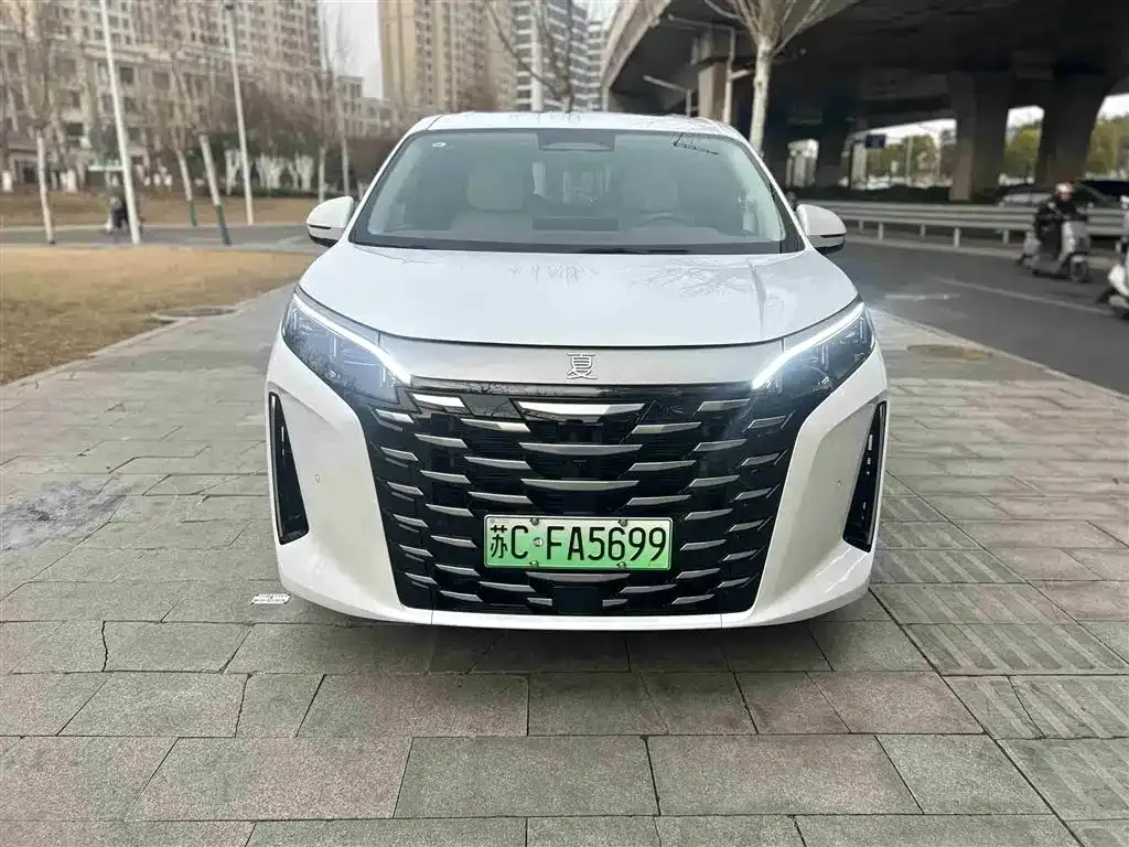 BYD Xia 2025 из CN, фото 1