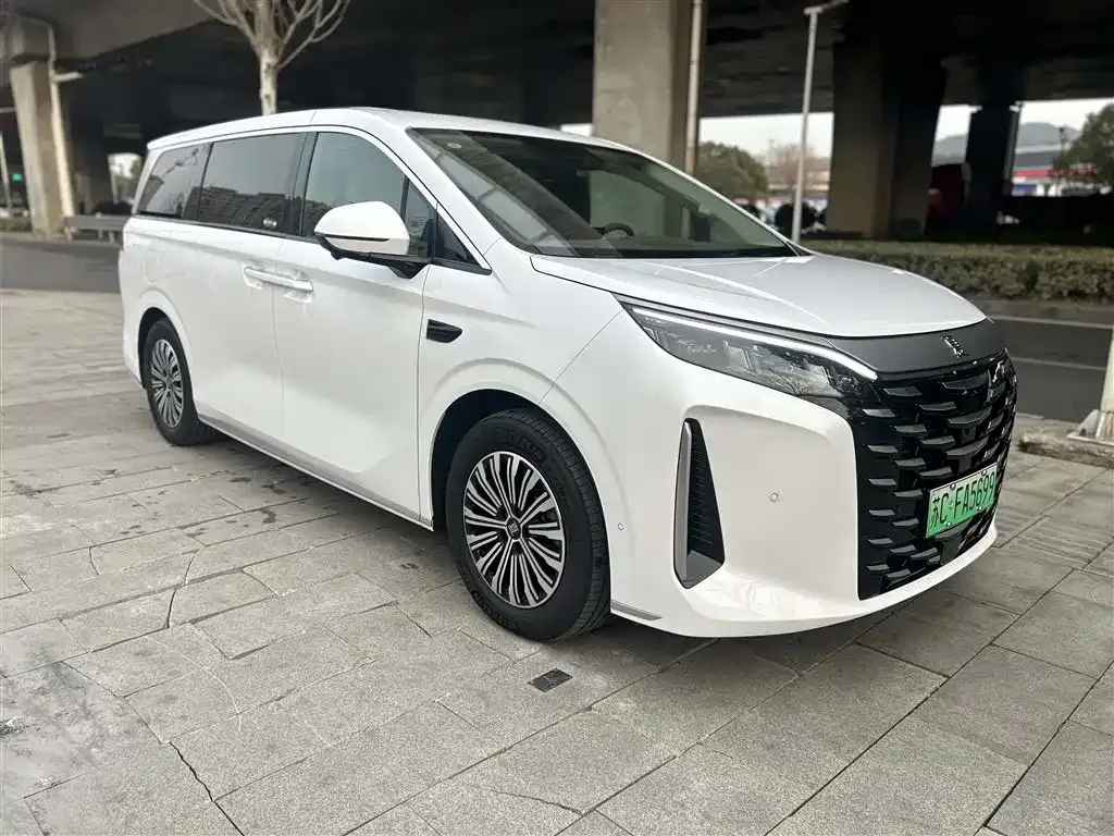 BYD Xia 2025 из CN, фото 3