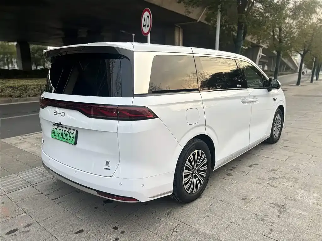 BYD Xia 2025 из CN, фото 2