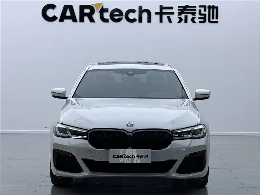 BMW 5 Series 2021 из CN, фото 4