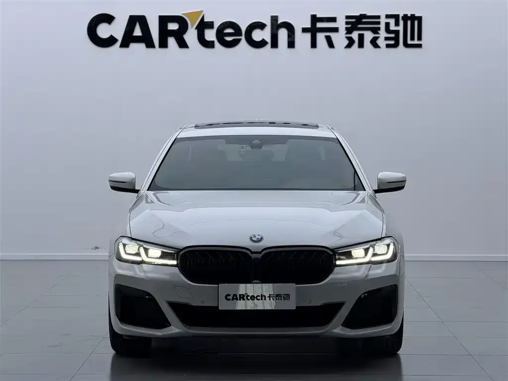 BMW 5 Series 2021 из CN, фото 3