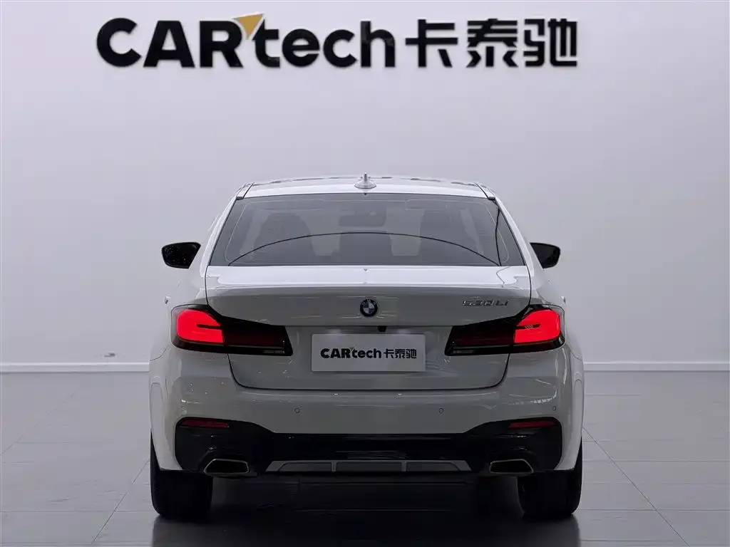 BMW 5 Series 2021 из CN, фото 2