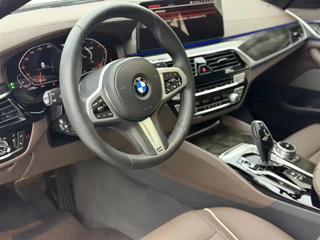 BMW 5 Series 2021 из CN, фото 10