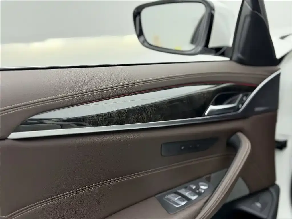 BMW 5 Series 2021 из CN, фото 6