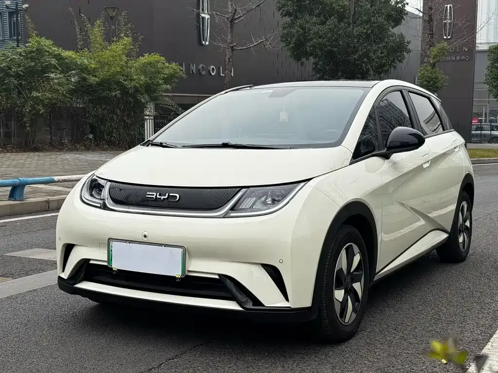 BYD Dolphin 2024 из CN, фото 1