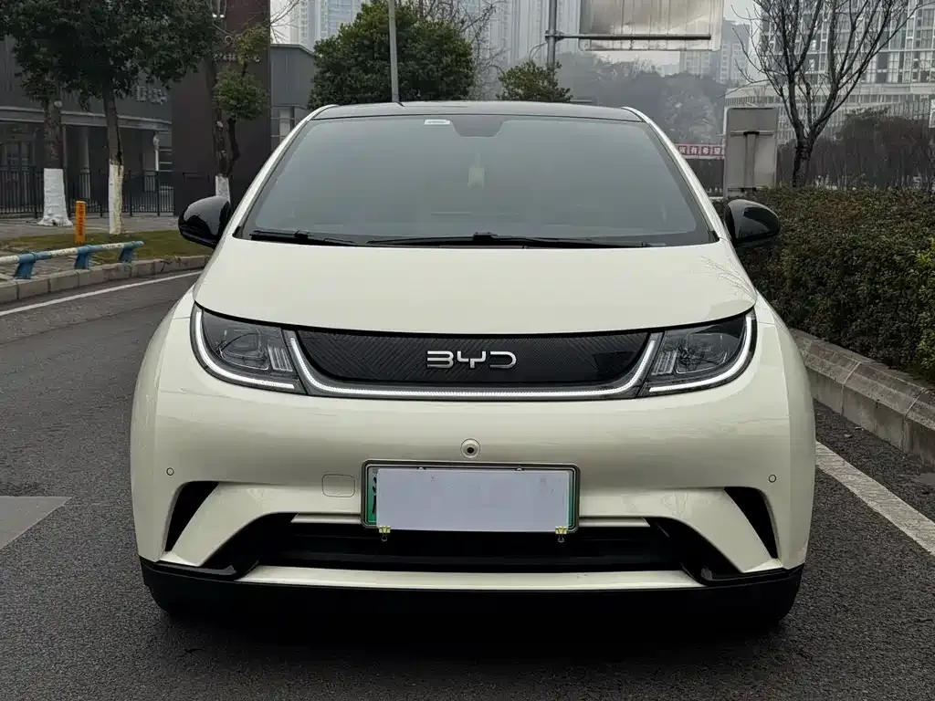 BYD Dolphin 2024 из CN, фото 10