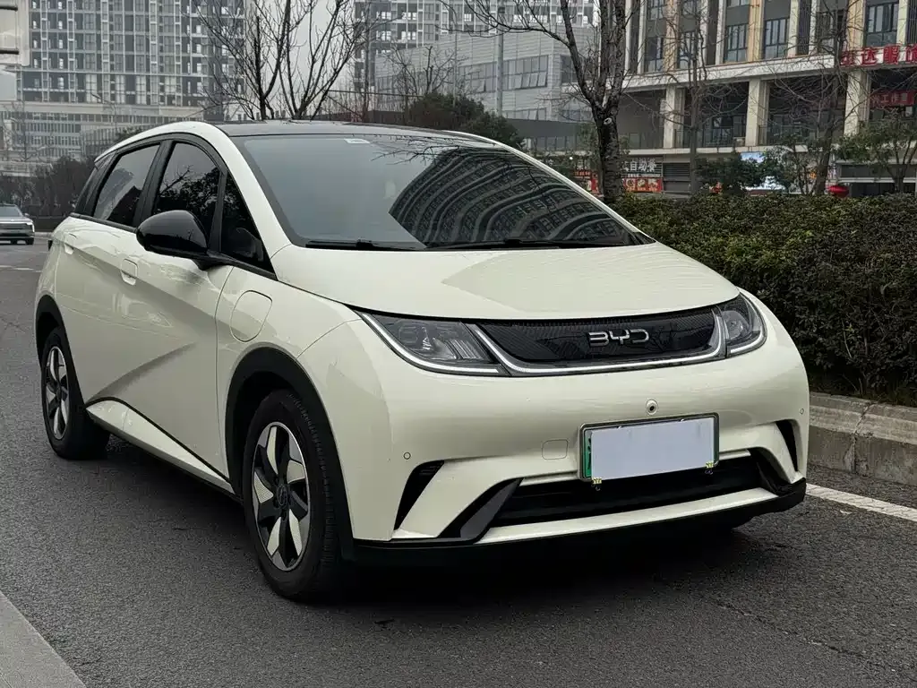 BYD Dolphin 2024 из CN, фото 6
