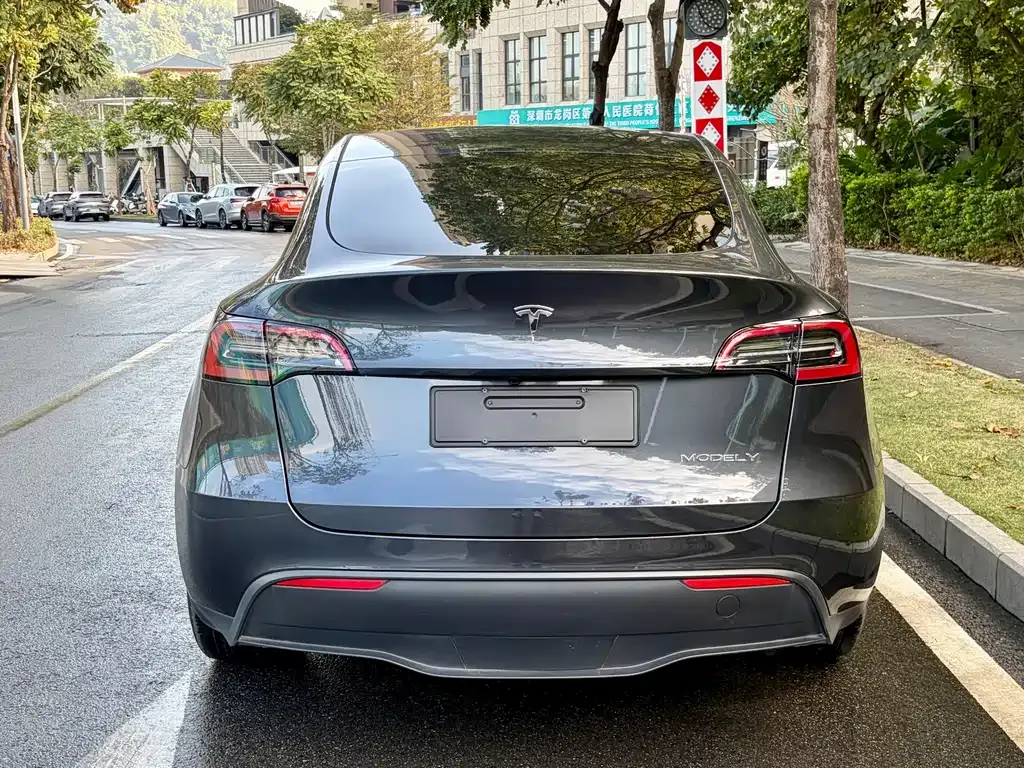 Tesla Model Y 2024 из CN, фото 6