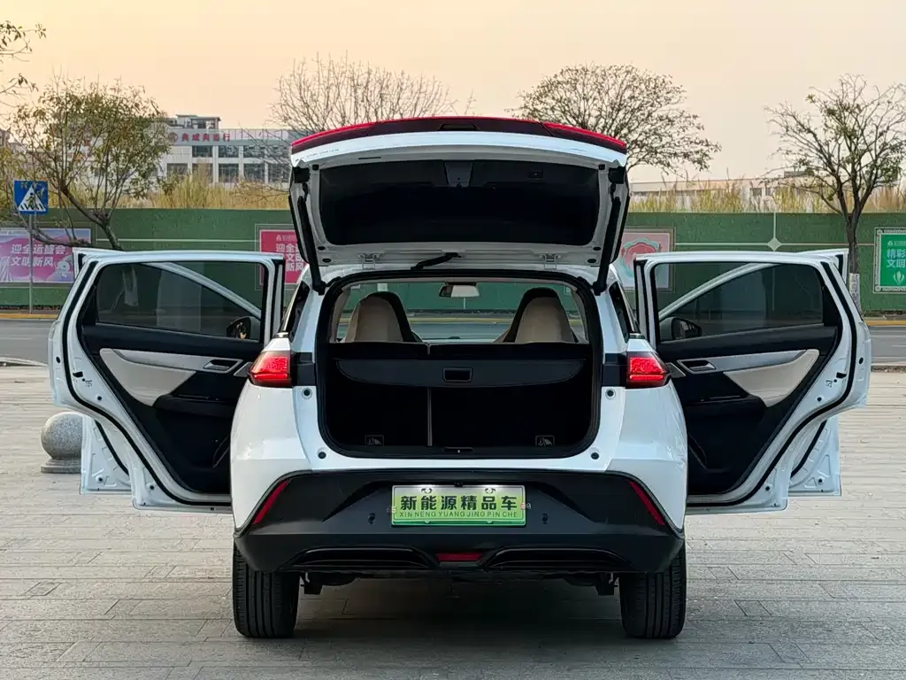 XPeng G3 2021 из CN, фото 2