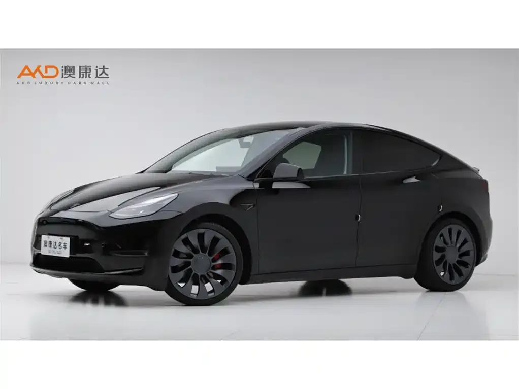 Tesla Model Y 2023 из CN, фото 1