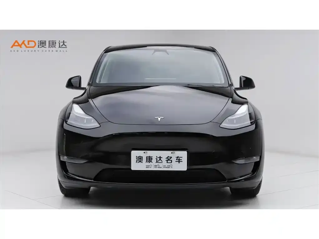 Tesla Model Y 2023 из CN, фото 2