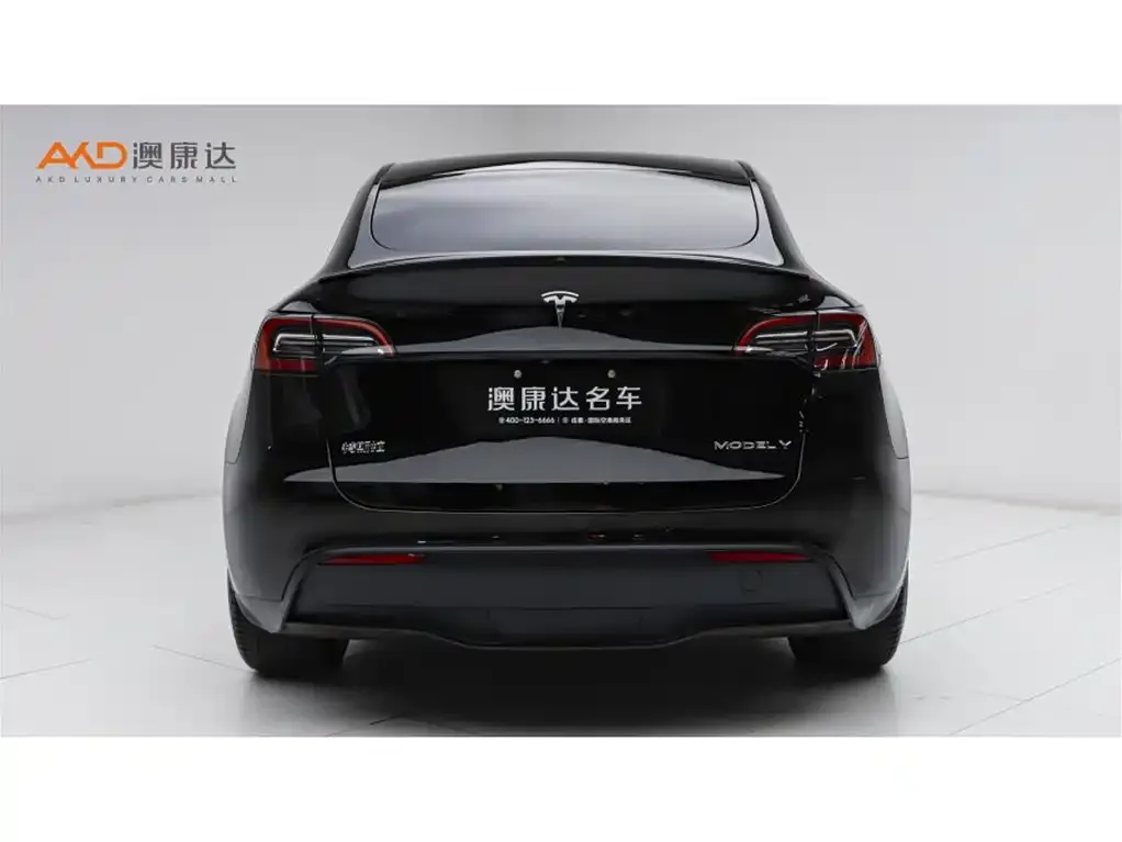Tesla Model Y 2023 из CN, фото 5
