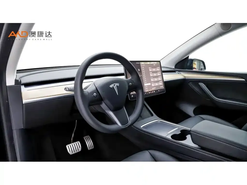Tesla Model Y 2023 из CN, фото 8