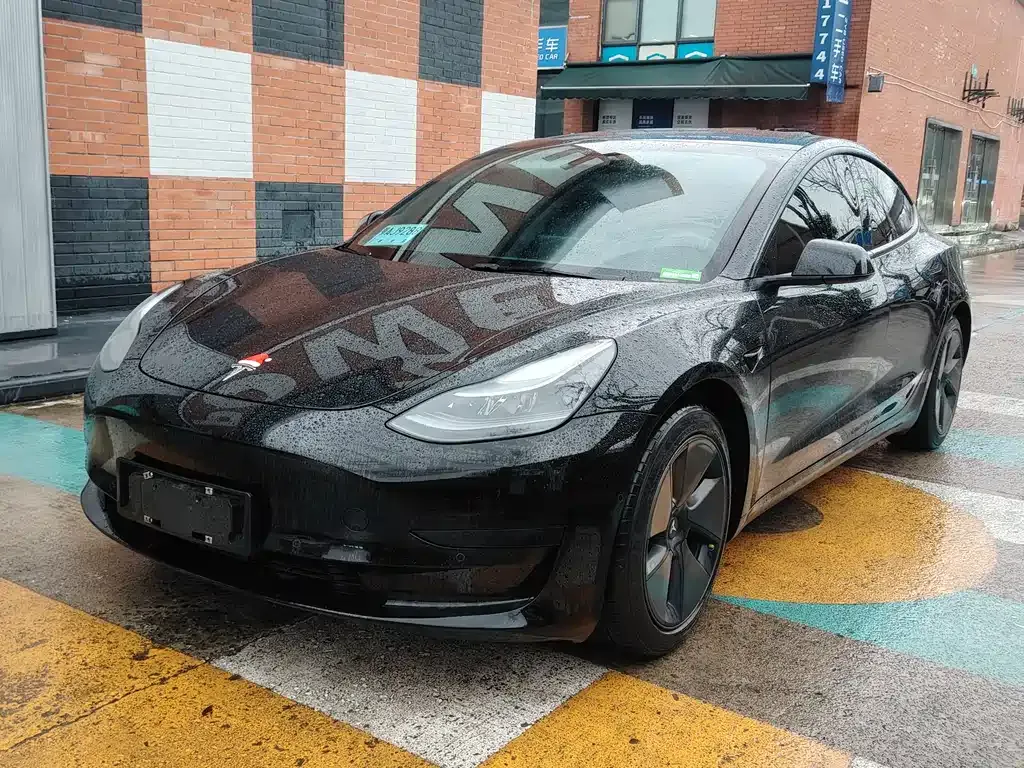 Tesla Model 3 2021 из CN, фото 1