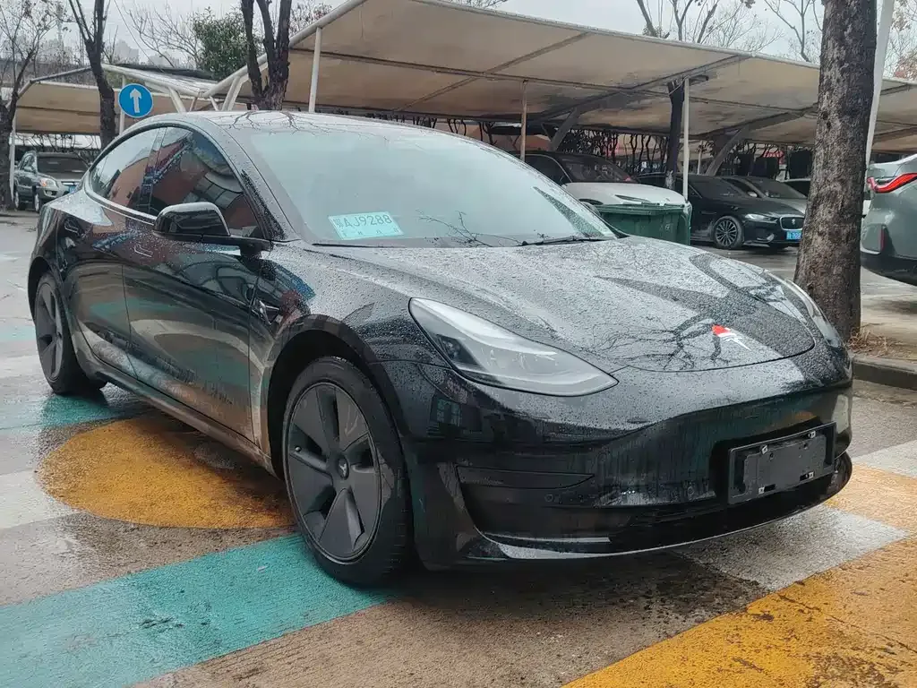 Tesla Model 3 2021 из CN, фото 9