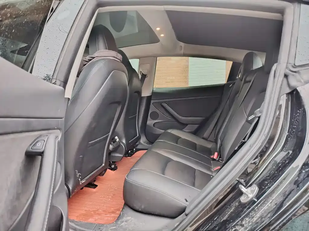 Tesla Model 3 2021 из CN, фото 4