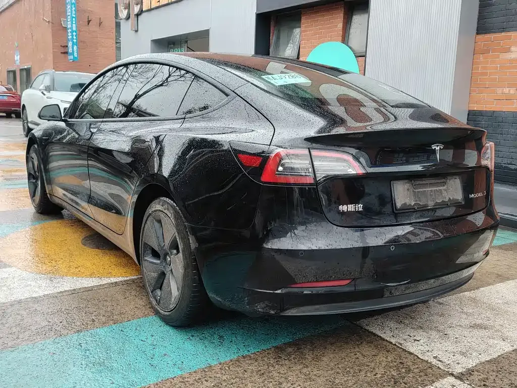 Tesla Model 3 2021 из CN, фото 5