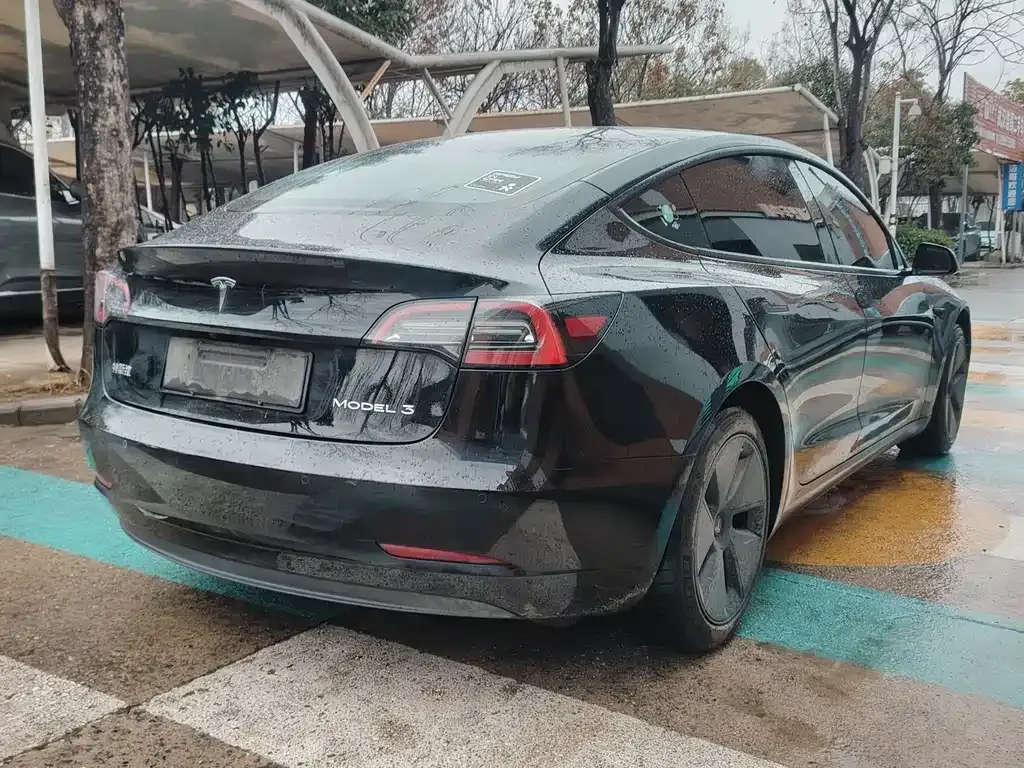 Tesla Model 3 2021 из CN, фото 8