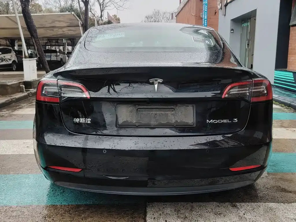 Tesla Model 3 2021 из CN, фото 7