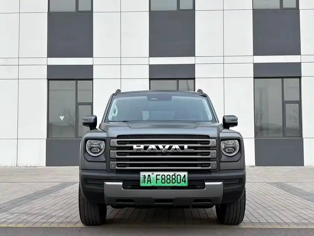 Haval Menglong New Energy 2025 из CN, фото 1
