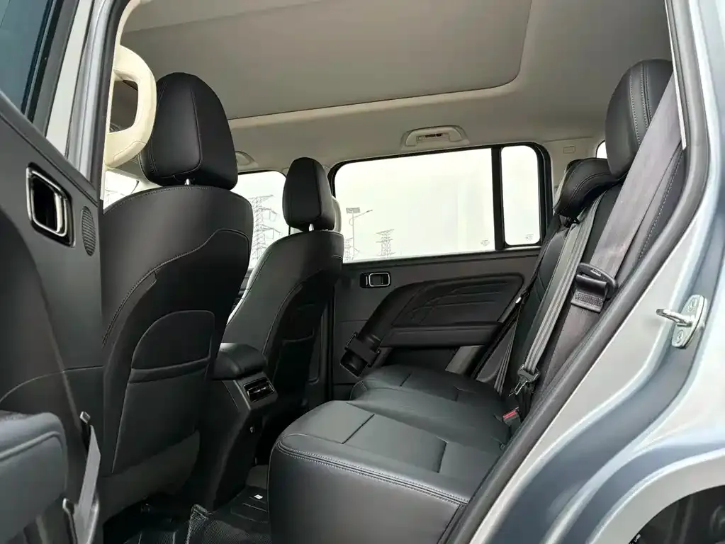 Haval Menglong New Energy 2025 из CN, фото 6