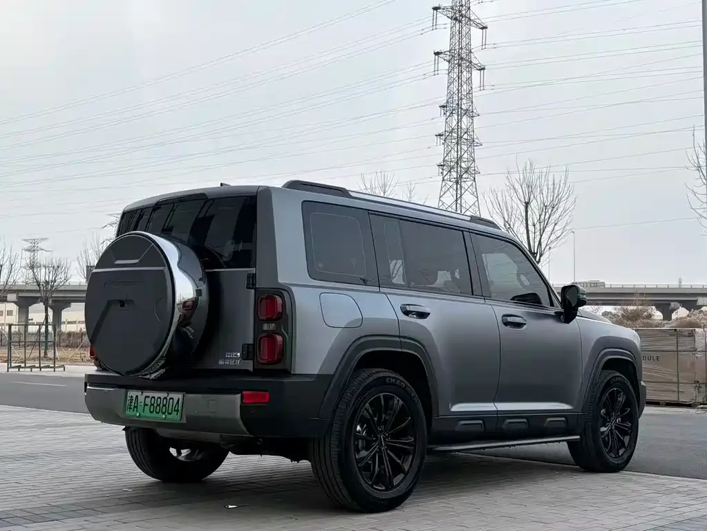 Haval Menglong New Energy 2025 из CN, фото 5