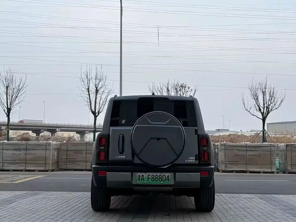 Haval Menglong New Energy 2025 из CN, фото 9