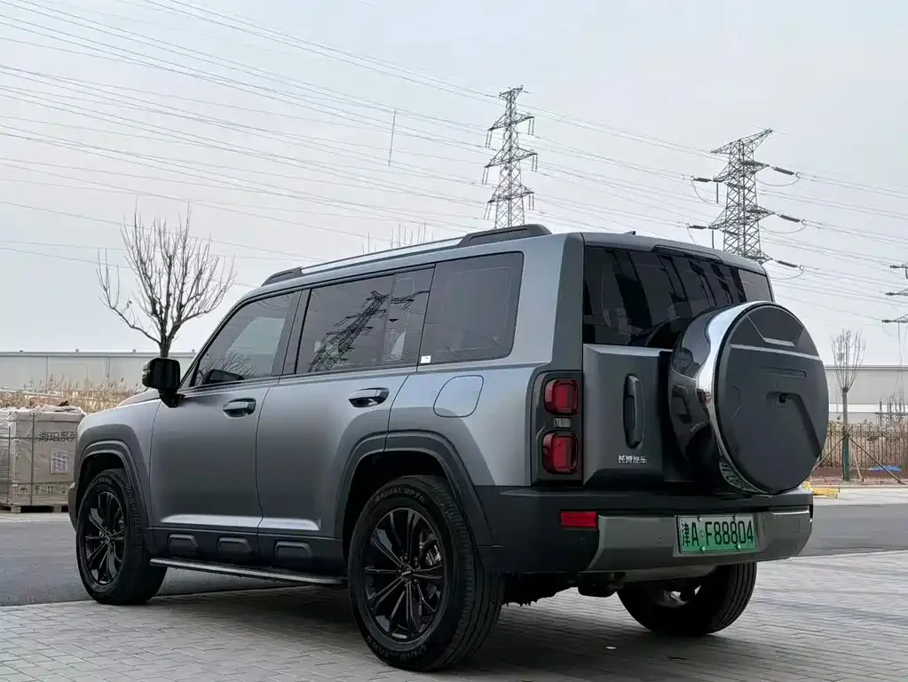 Haval Menglong New Energy 2025 из CN, фото 7