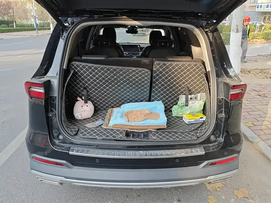 Ford Territory 2021 из CN, фото 10