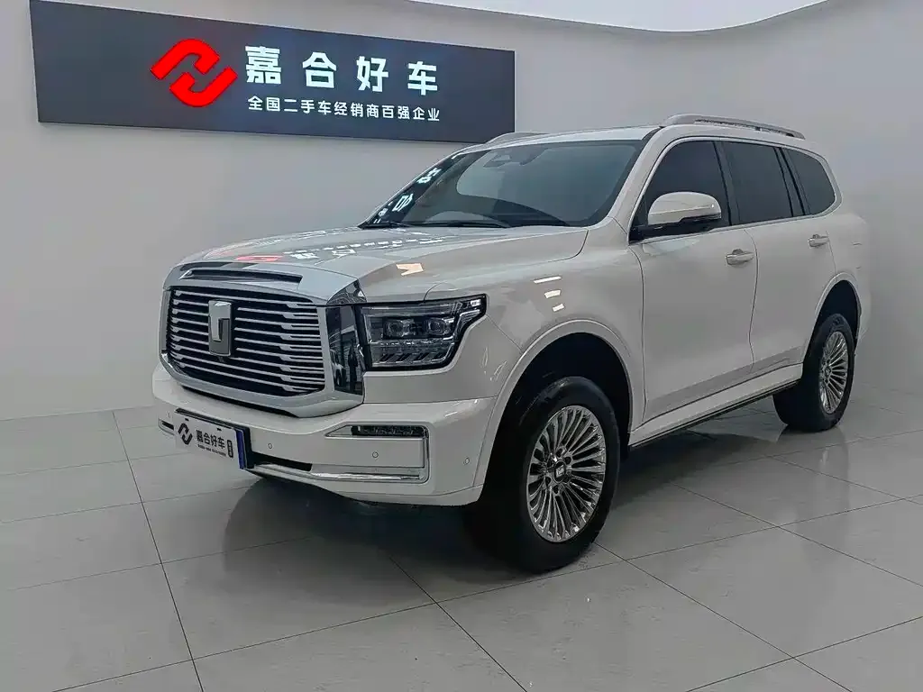 Tank 500 New Energy 2023 из CN, фото 1