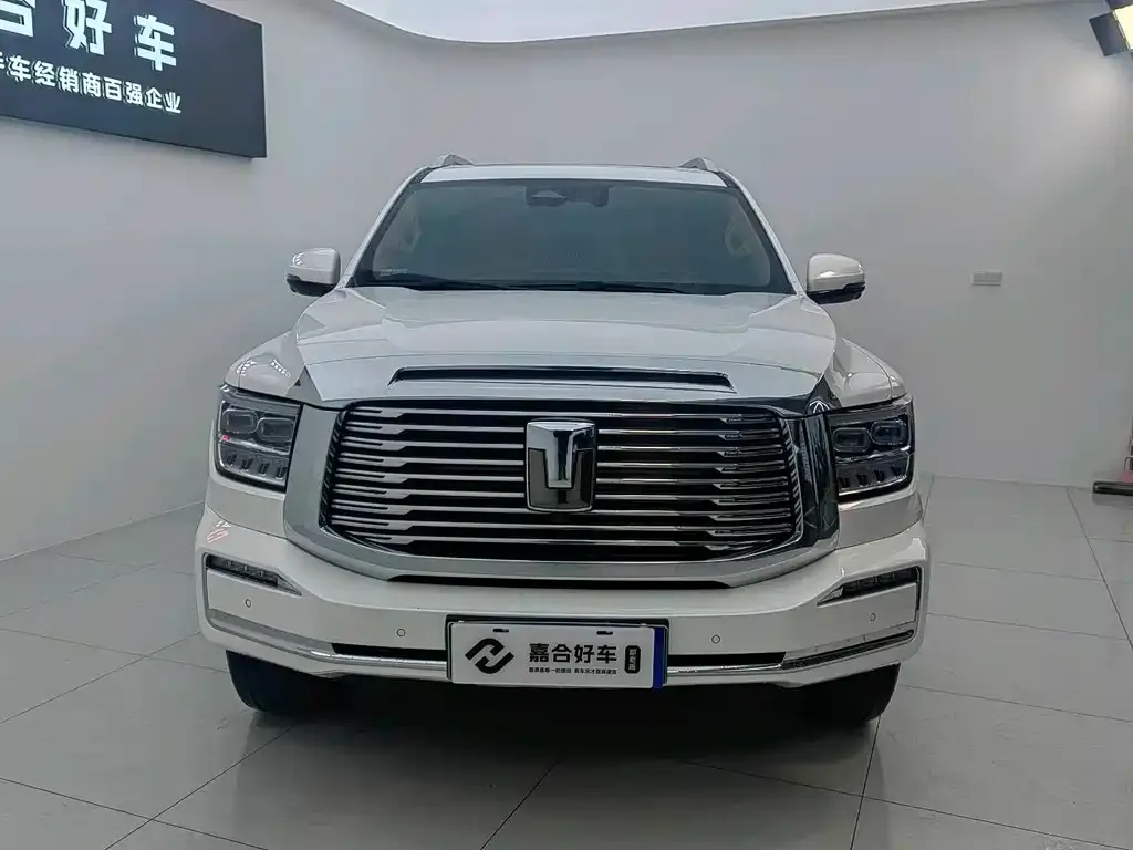 Tank 500 New Energy 2023 из CN, фото 7