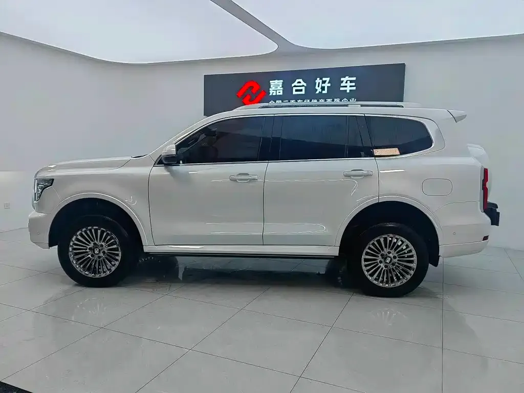 Tank 500 New Energy 2023 из CN, фото 4