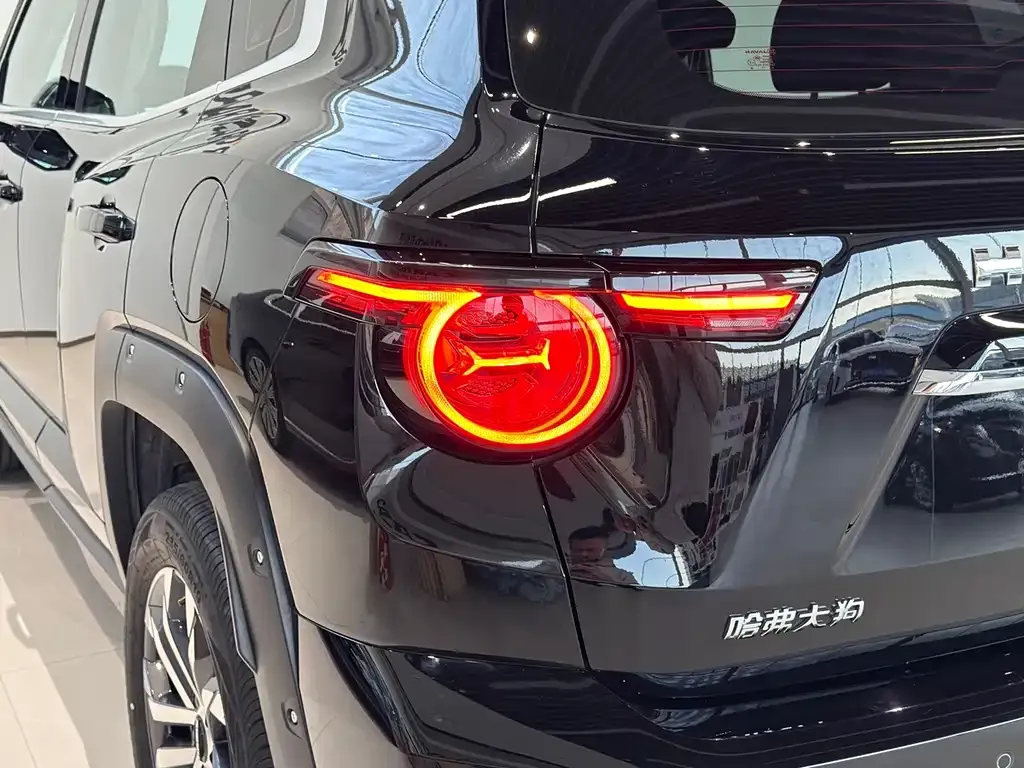 Haval H7 (Big Dog Plus) 2025 из CN, фото 10