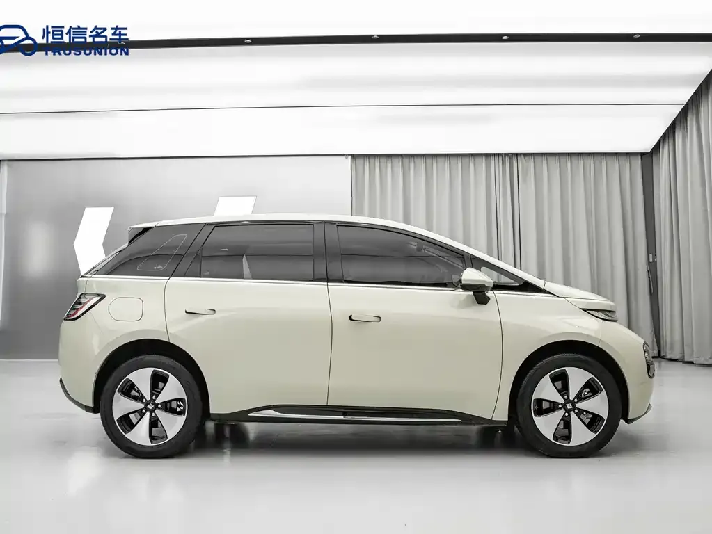 Baojun Yunduo 2024 из CN, фото 4
