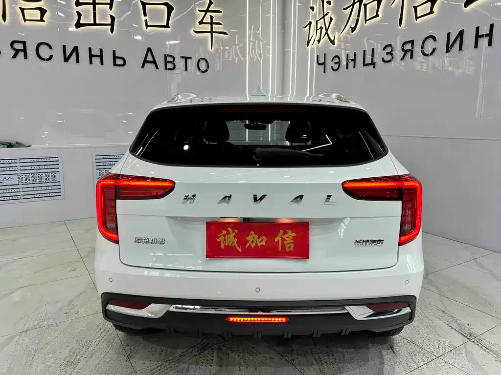 Haval Chulian 2022 из CN, фото 4