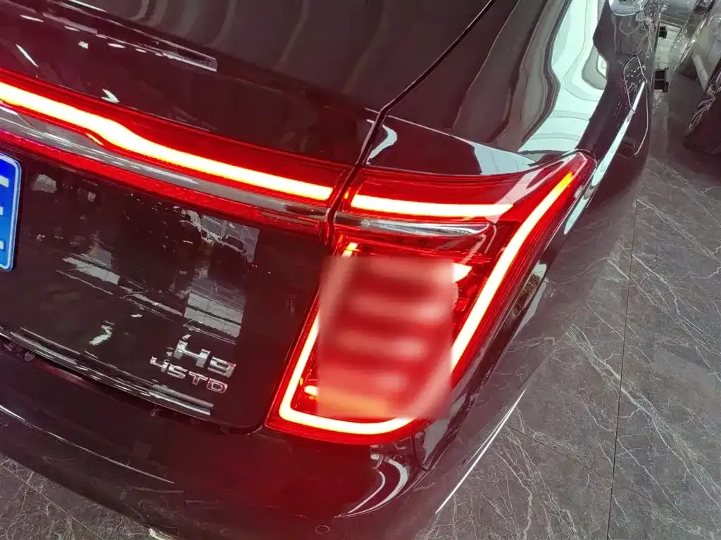 Hongqi H9 2021 из CN, фото 4