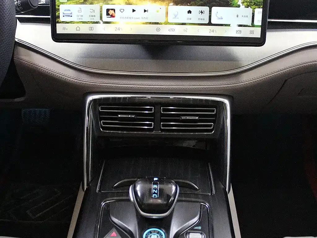 BYD Tang New Energy 2024 из CN, фото 9