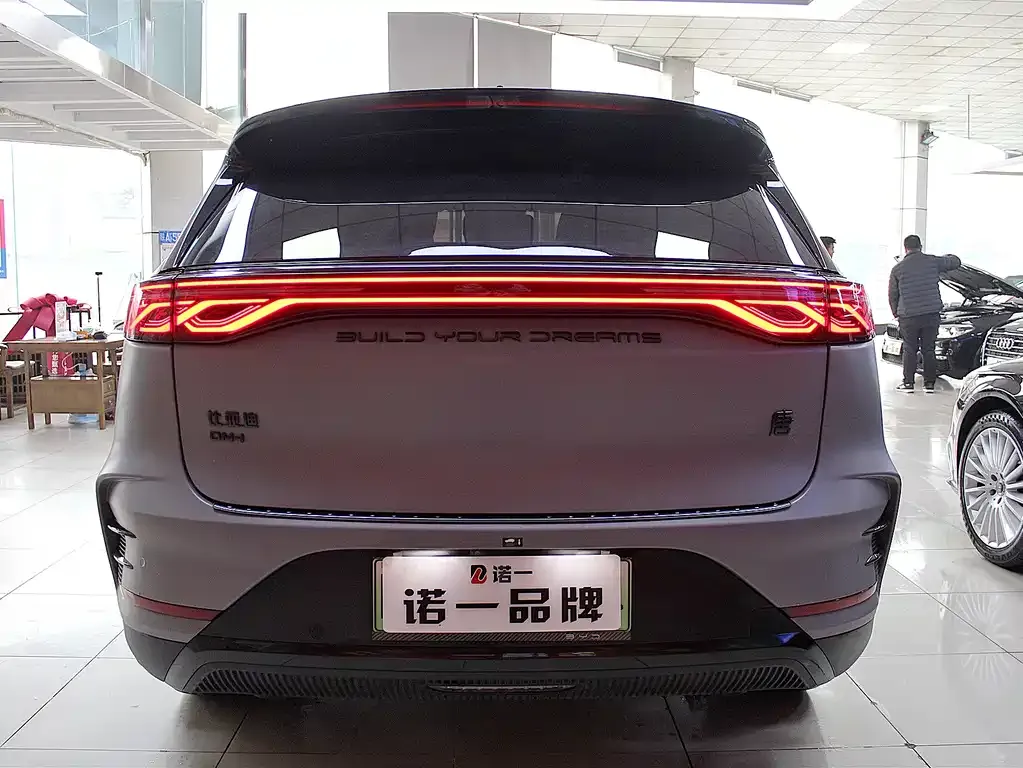 BYD Tang New Energy 2024 из CN, фото 5