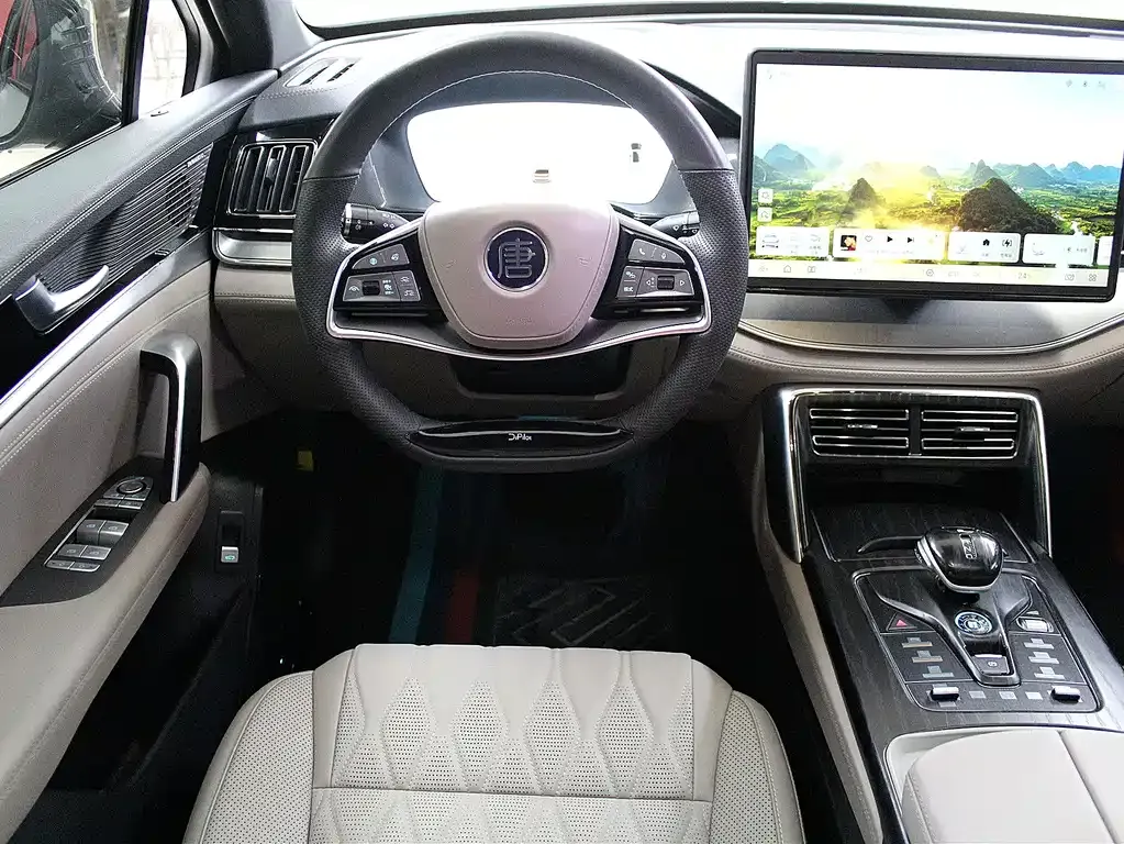 BYD Tang New Energy 2024 из CN, фото 10