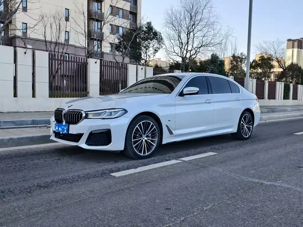 BMW 5 Series 2021 из CN, фото 1