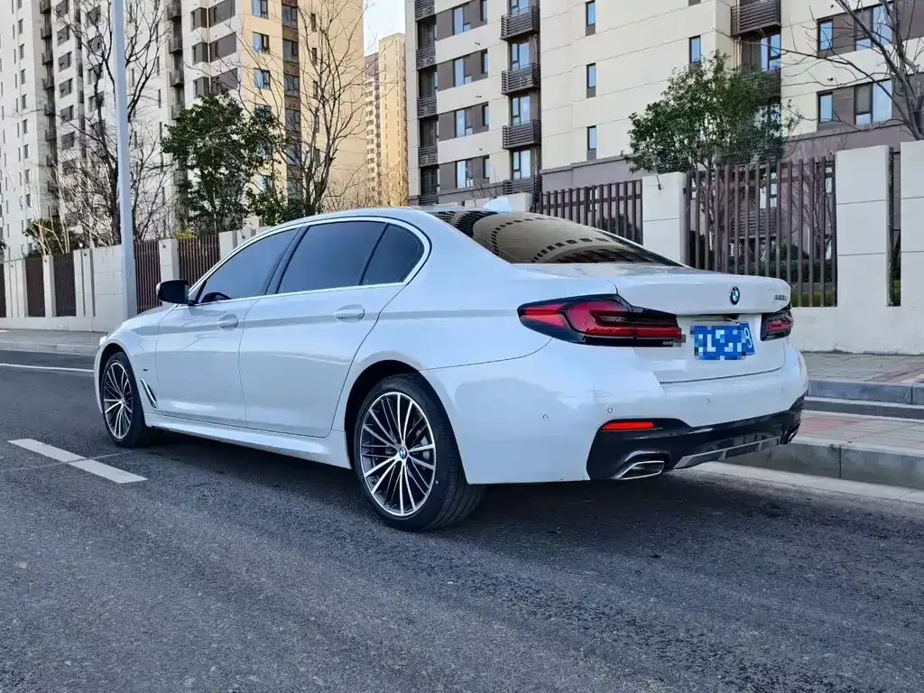 BMW 5 Series 2021 из CN, фото 4