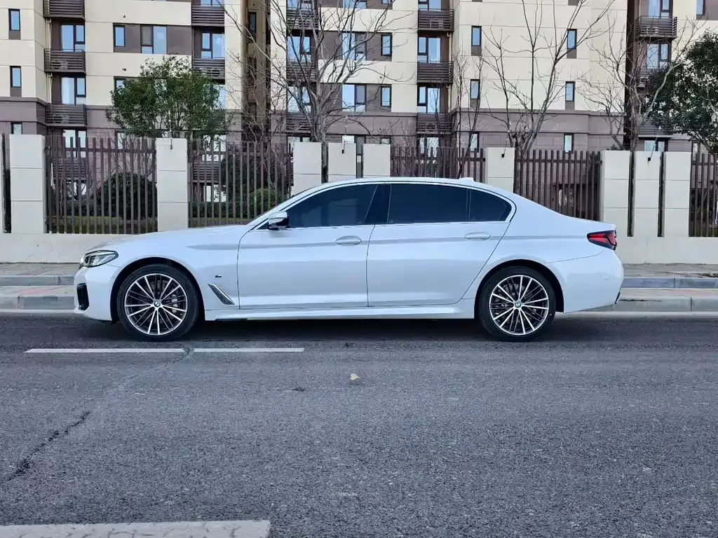 BMW 5 Series 2021 из CN, фото 9