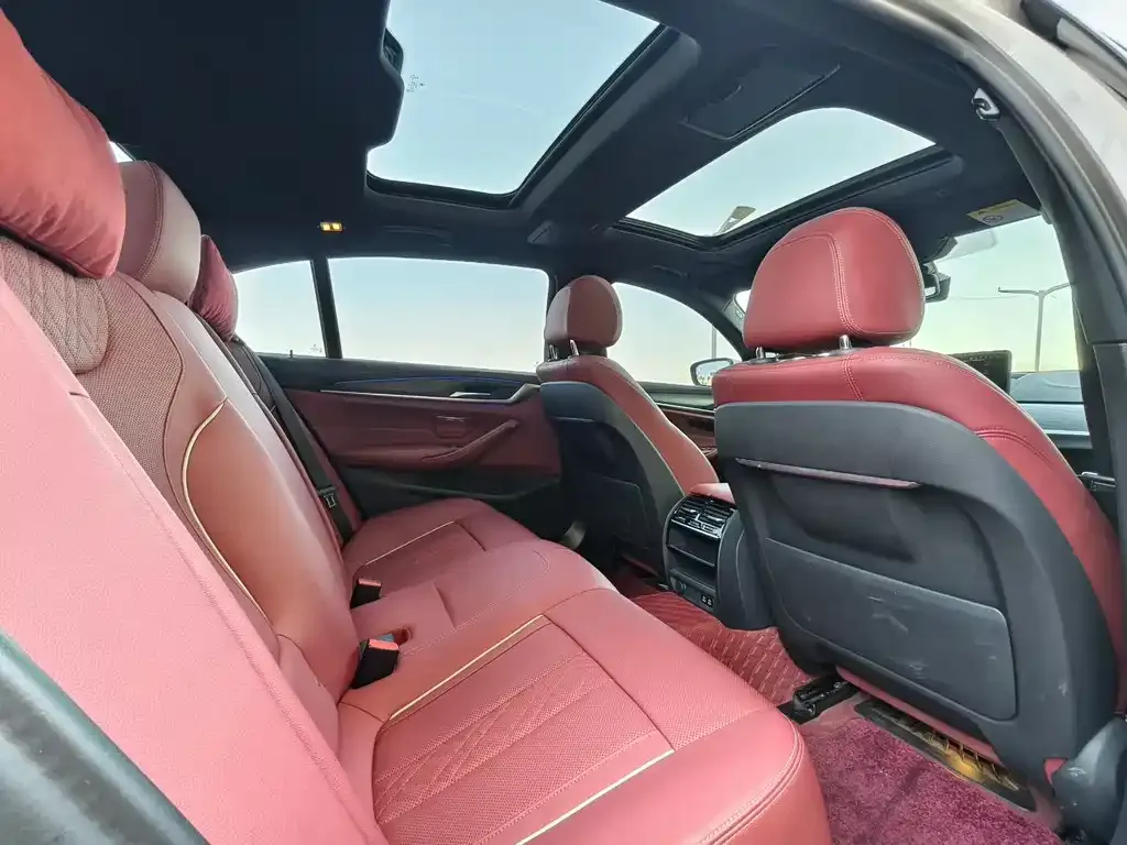 BMW 5 Series 2021 из CN, фото 6