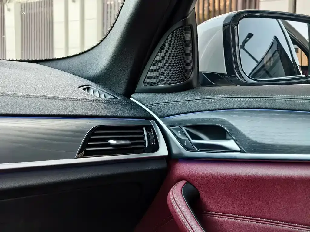 BMW 5 Series 2021 из CN, фото 3