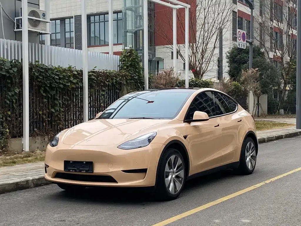 Tesla Model Y 2022 из CN, фото 1